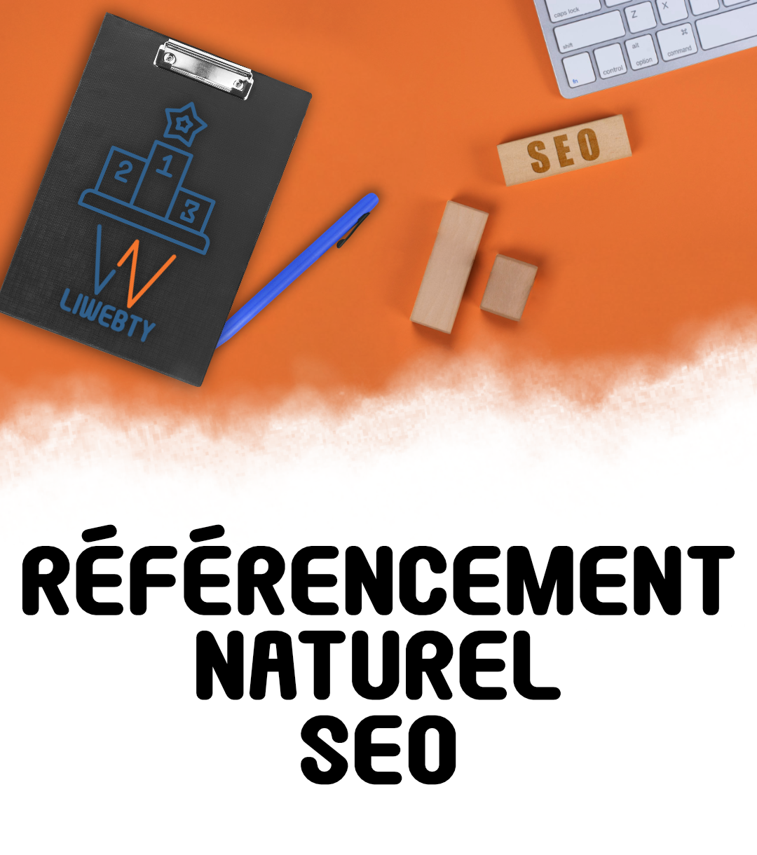 Consultant SEO et référencement Google à Argenteuil — Liwebty